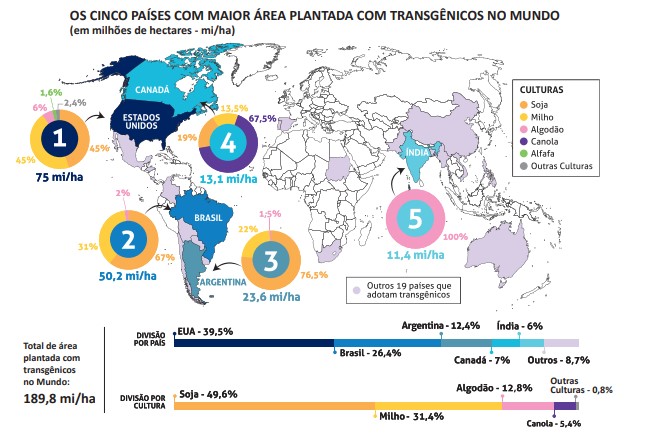 infográfico