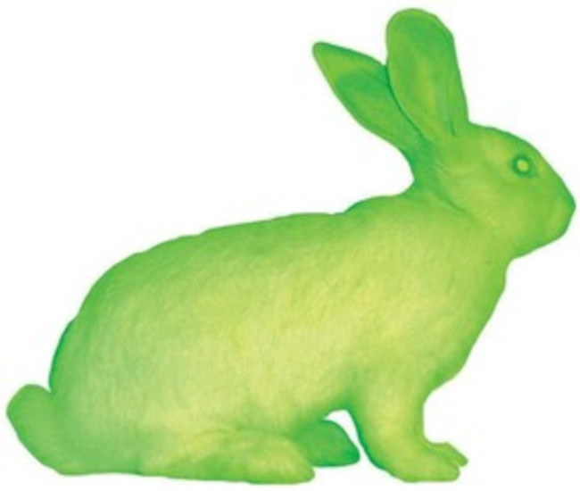 A obra GFP Bunny, de Eduardo Kac